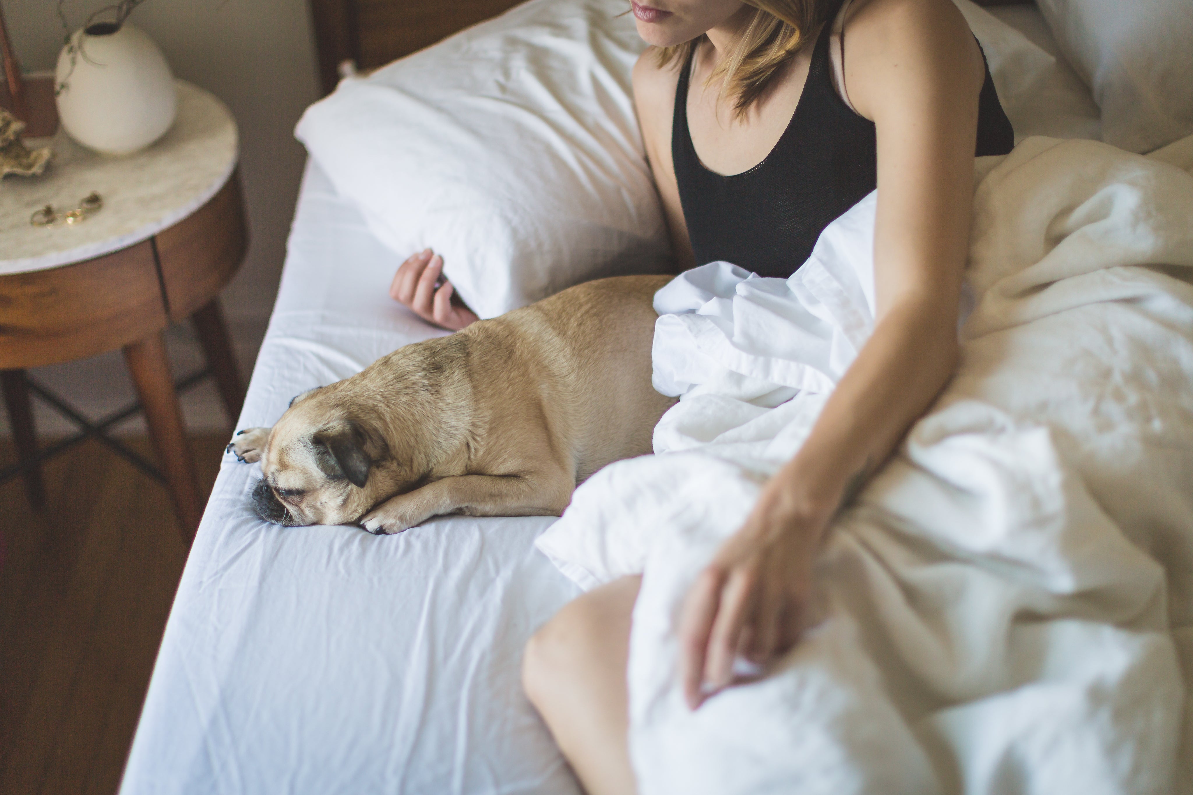 files/woman-dog-in-the-morning.jpg